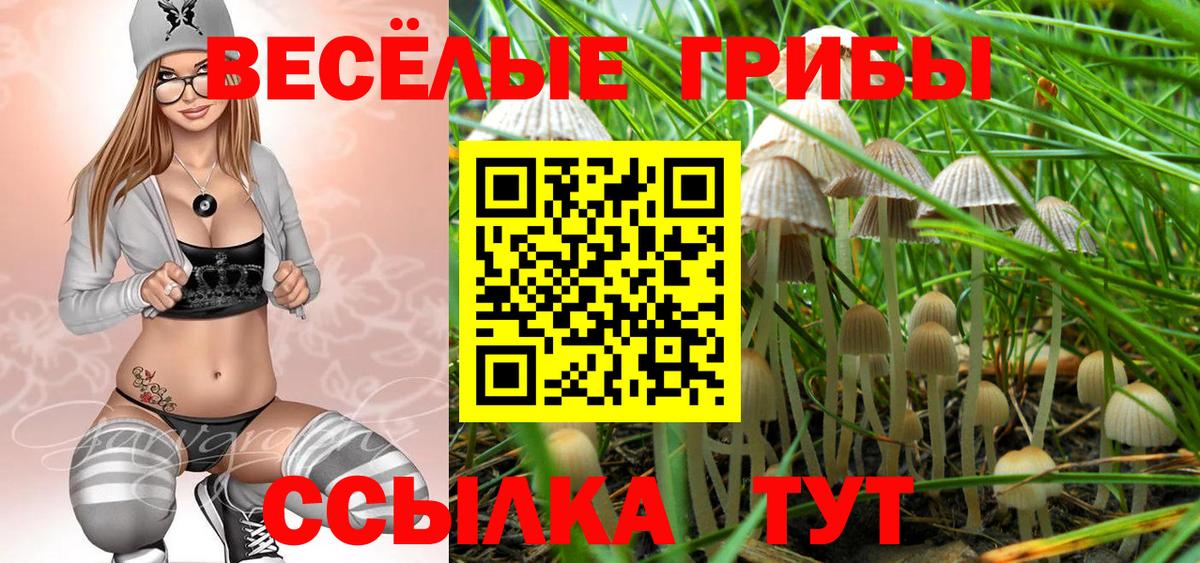 Псилоцибиновые грибы ЛСД  Вход с VPN  как найти   Шатура 