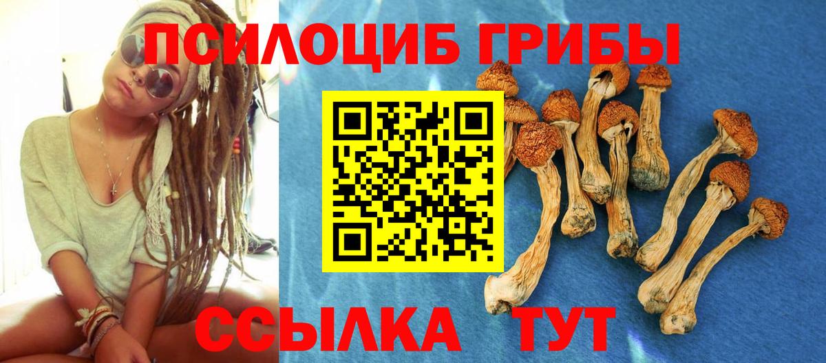 Галлюциногенные грибы MAGIC MUSHROOMS Шатура